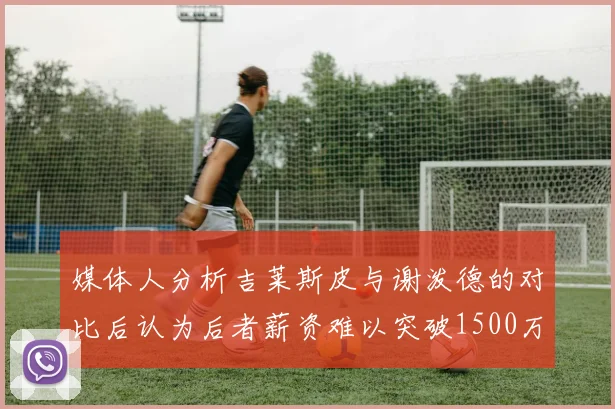 媒体人分析吉莱斯皮与谢泼德的对比后认为后者薪资难以突破1500万